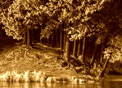 Sepia