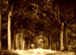 Sepia