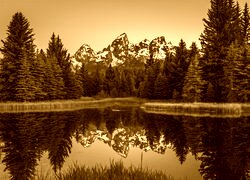Sepia