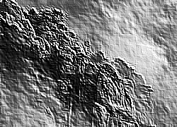 Skamielina
