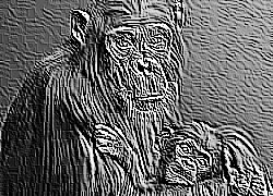 Skamielina