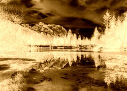 Sepia + Negatyw