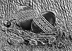 Skamielina