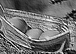 Skamielina