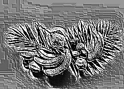 Skamielina