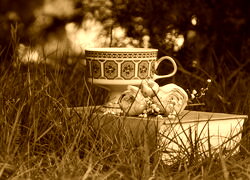 Sepia