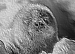 Skamielina
