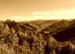 Sepia