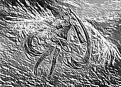 Skamielina