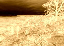 Sepia + Negatyw
