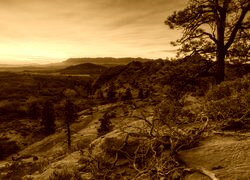 Sepia