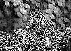 Skamielina