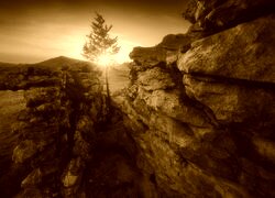 Sepia