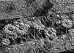 Skamielina