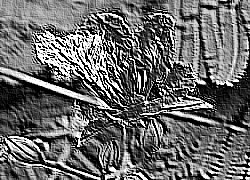 Skamielina