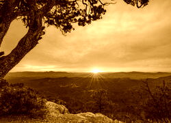 Sepia