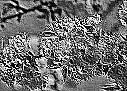 Skamielina