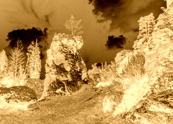 Sepia + Negatyw