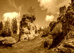 Sepia
