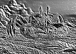 Skamielina
