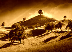 Sepia