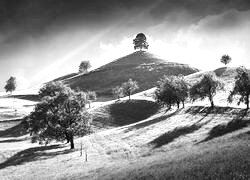 Szary + Sepia