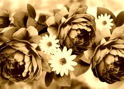 Sepia