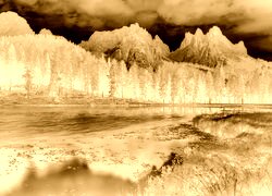 Sepia + Negatyw