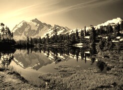Sepia