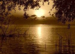 Sepia