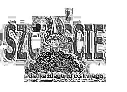Skamielina