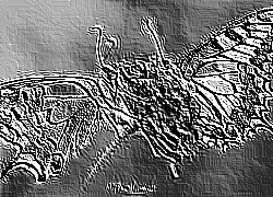 Skamielina