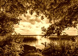 Sepia