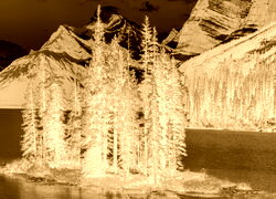 Sepia + Negatyw