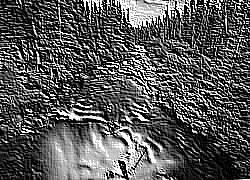 Skamielina
