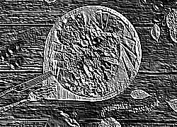Skamielina