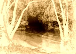 Sepia + Negatyw