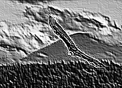 Skamielina