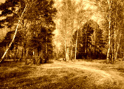 Sepia