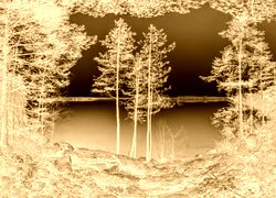 Sepia + Negatyw