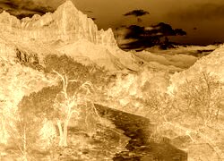 Sepia + Negatyw