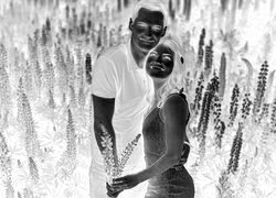 Szary + Negatyw