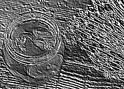 Skamielina