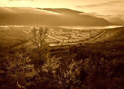 Sepia