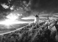 Szary + Sepia