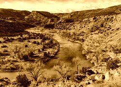 Sepia
