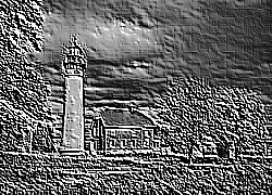 Skamielina