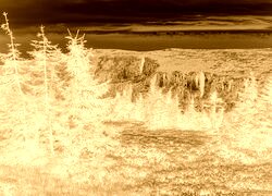 Sepia + Negatyw
