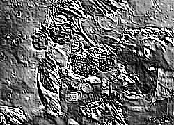 Skamielina