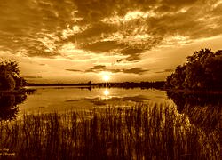 Sepia